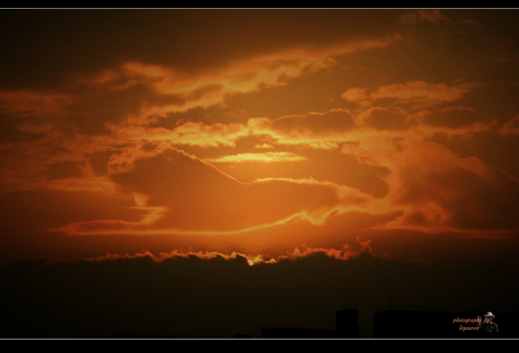 DSC_5703.jpg