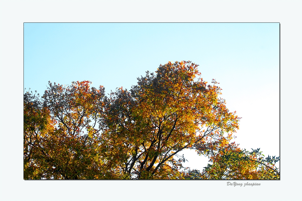 IMG_0882-1.jpg