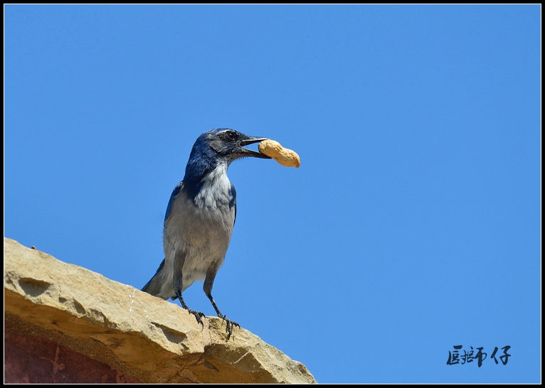 DSC_1718.jpg