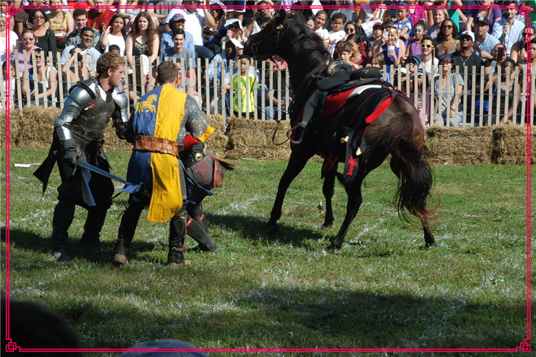 DSC_0919.jpg