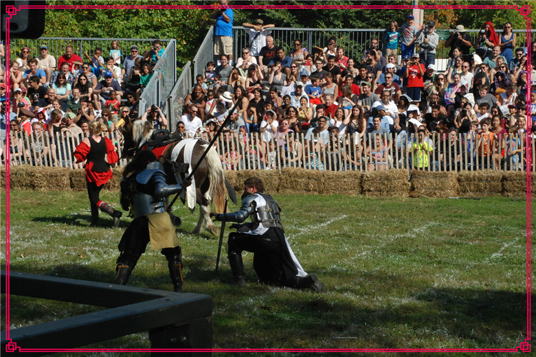 DSC_0889.jpg