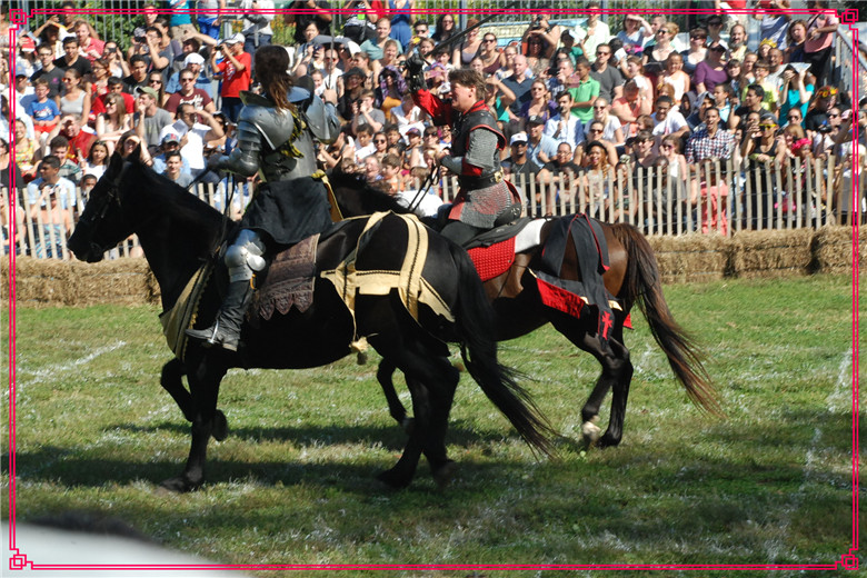 DSC_0871.jpg