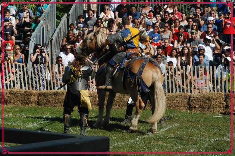 DSC_0902.jpg