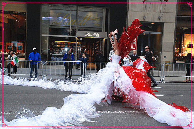 DSC_0311.jpg