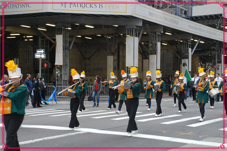 DSC_0198.jpg
