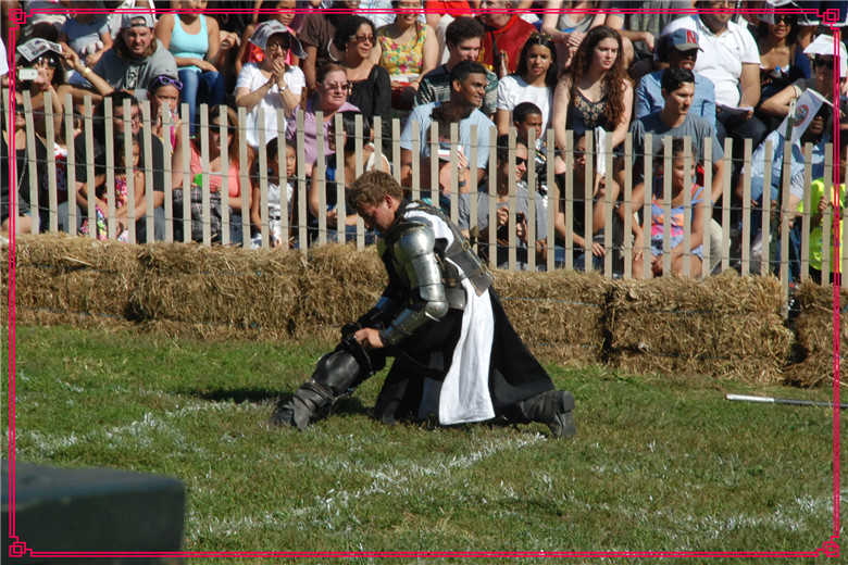 DSC_0894.jpg