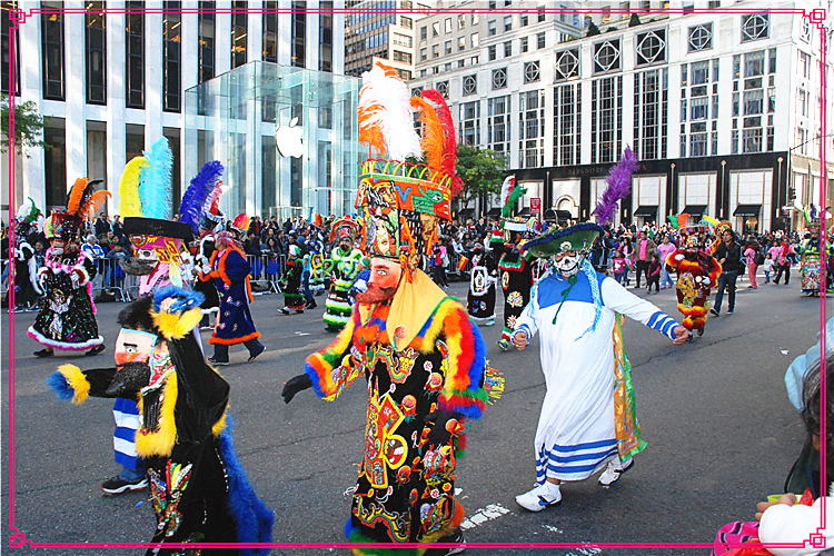 DSC_0154.jpg