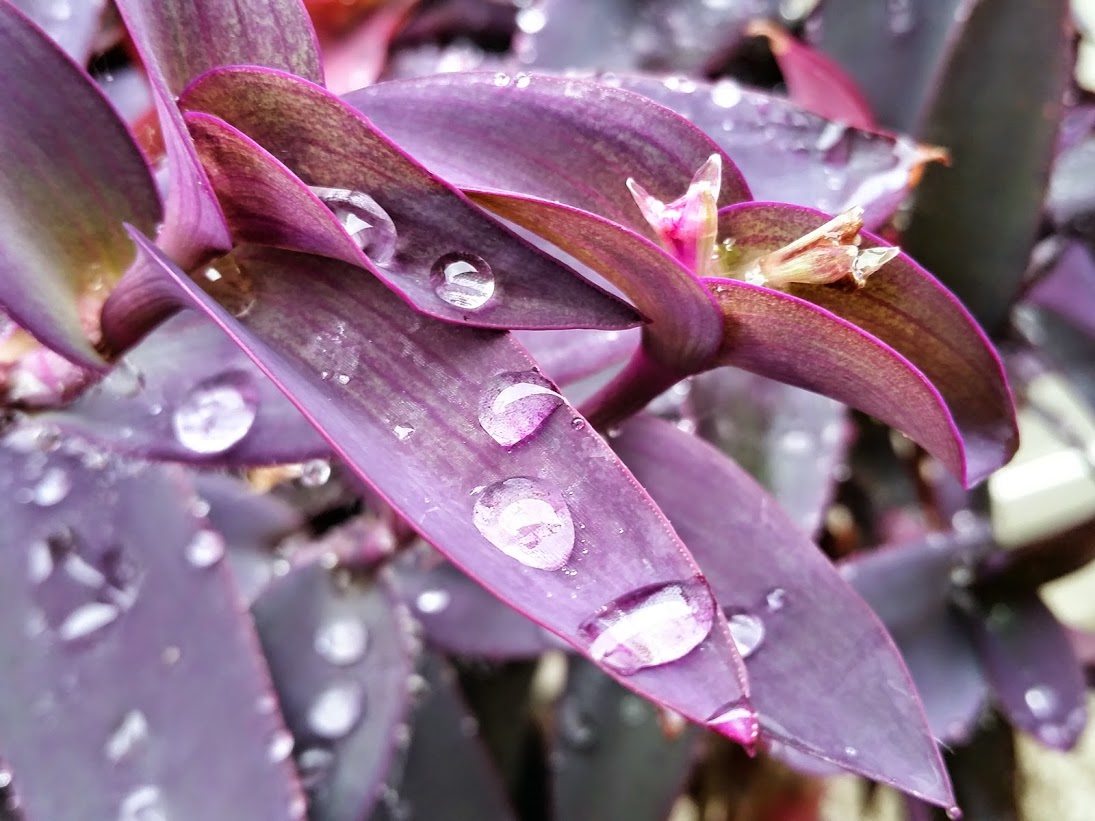 20141004_143203[1].jpg