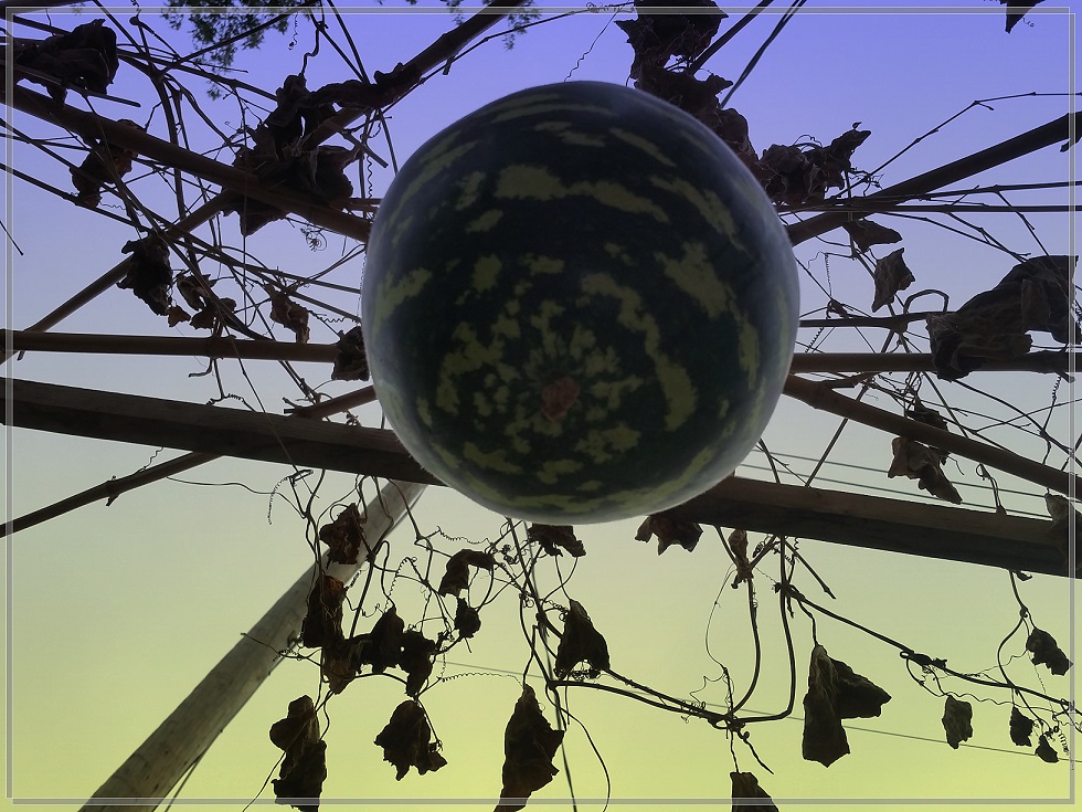 20141001_103359_conew1.jpg