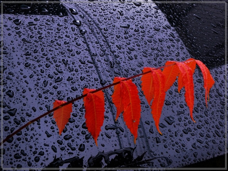 l1650695_conew1.jpg