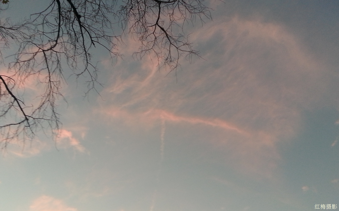 IMG_20141026_180515.jpg