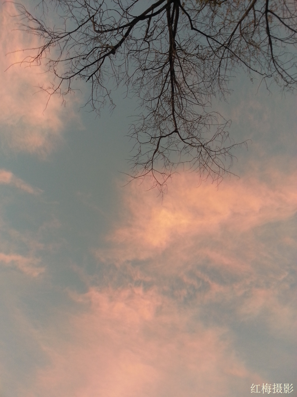IMG_20141026_180152.jpg
