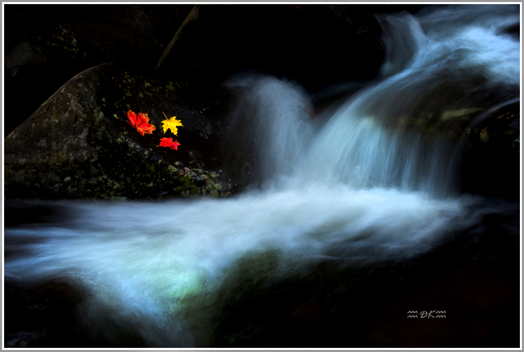 DSC_1438C.jpg