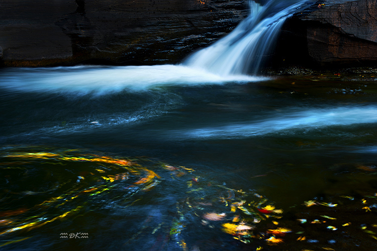 DSC_1325C.jpg