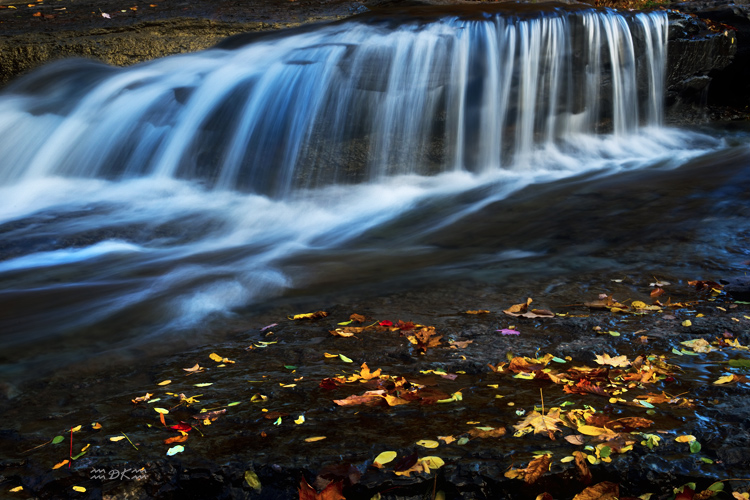 DSC_1342C.jpg