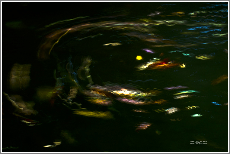 DSC_1377C.jpg