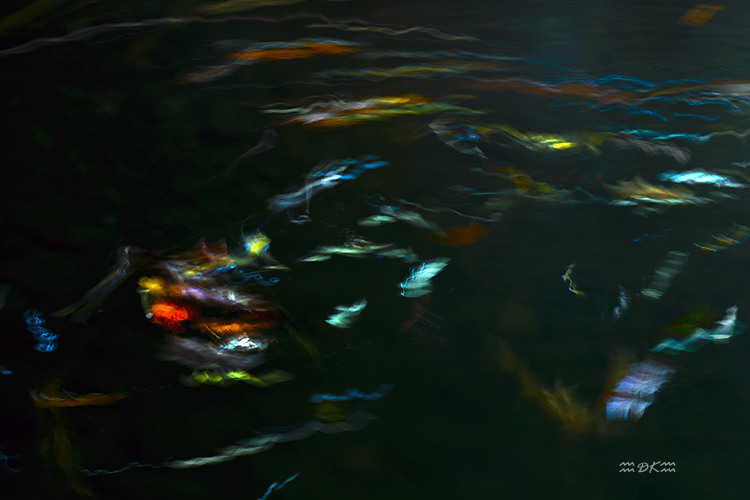 DSC_1365C.jpg