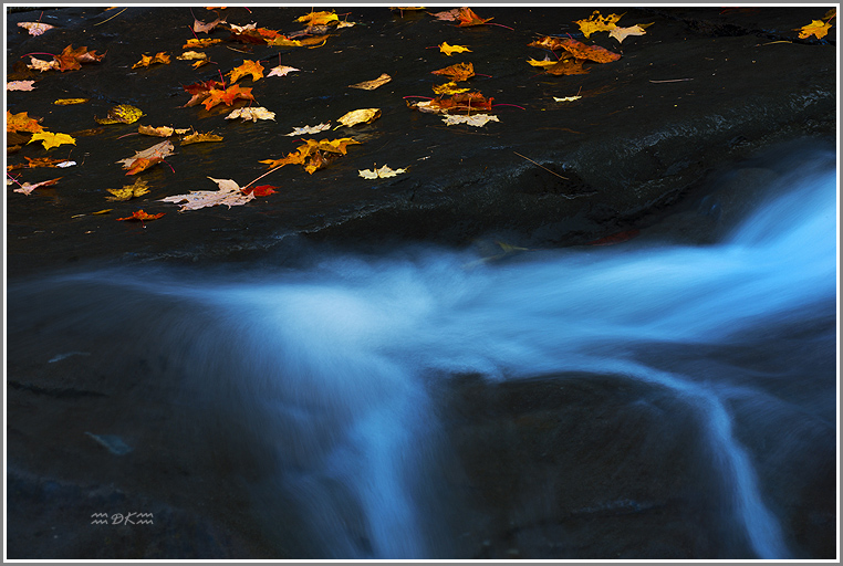 DSC_1456C1.jpg