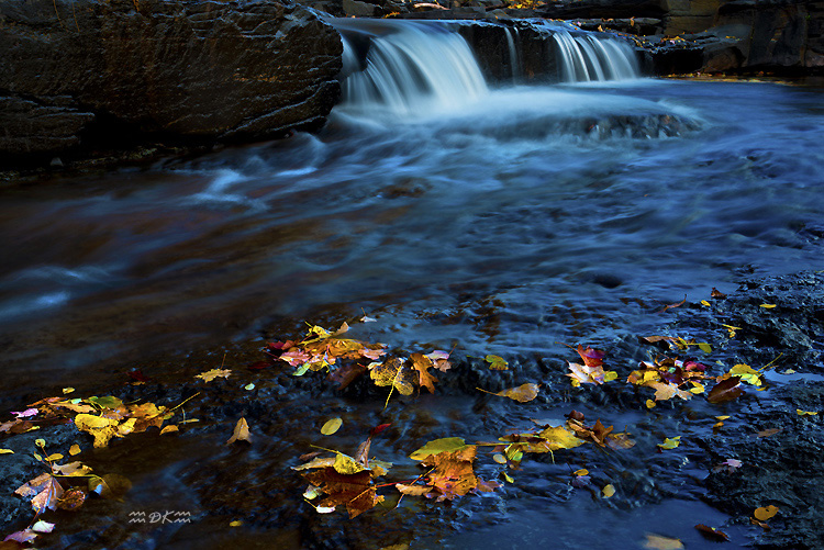 DSC_1348C1.jpg