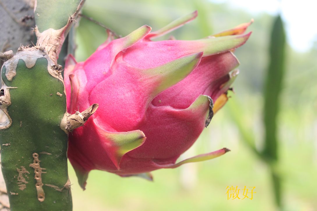 IMG_9970_.jpg