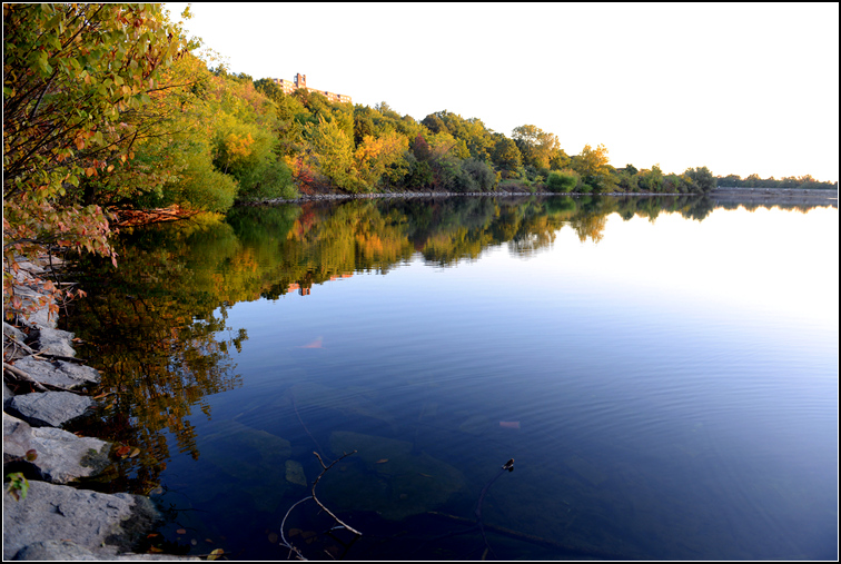 DSC_3021.jpg