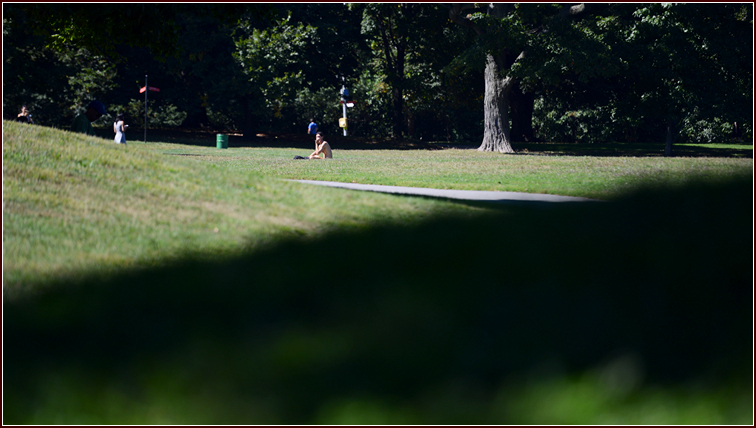 DSC_3221.jpg