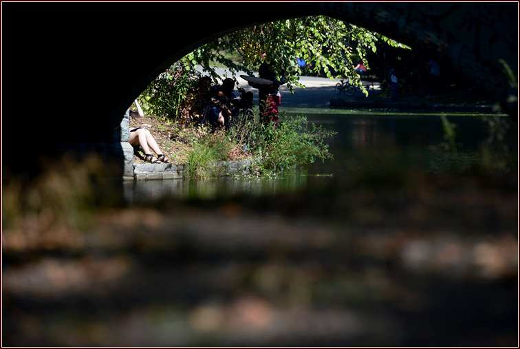 DSC_3162.jpg