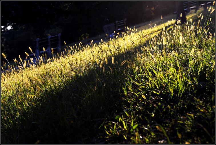 DSC_2979.jpg