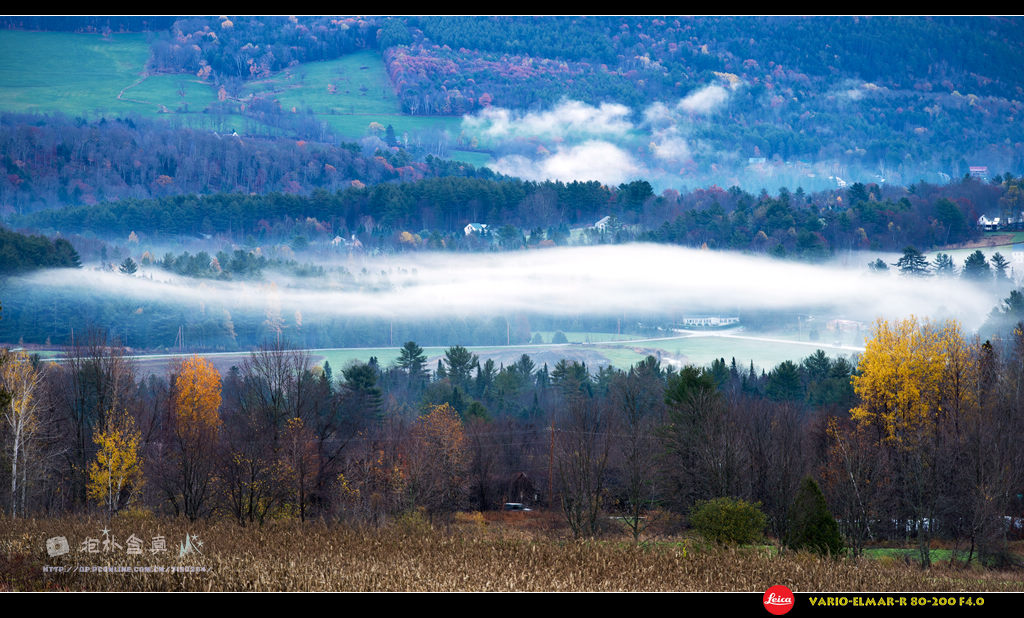 DSC_0965s.jpg