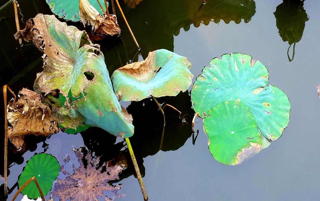20141023_150335.jpg