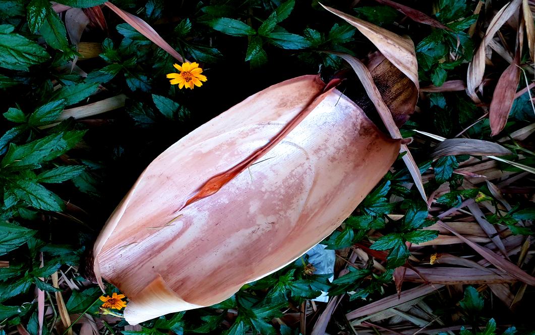 20141023_151657.jpg