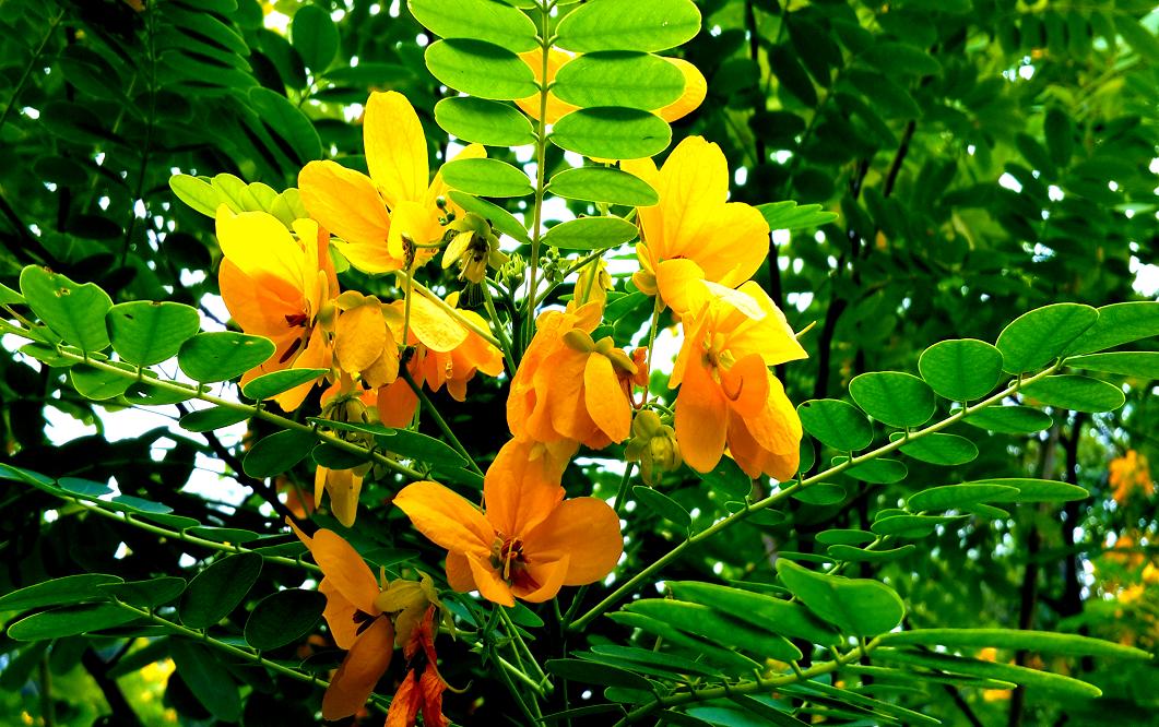 20141023_151627.jpg