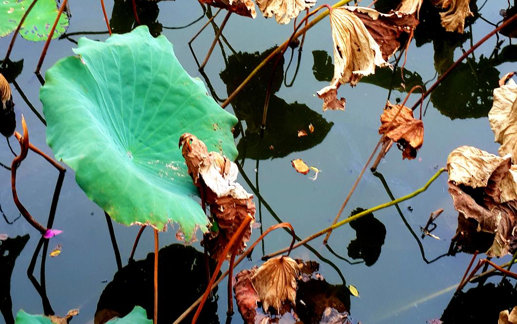 20141023_150435.jpg