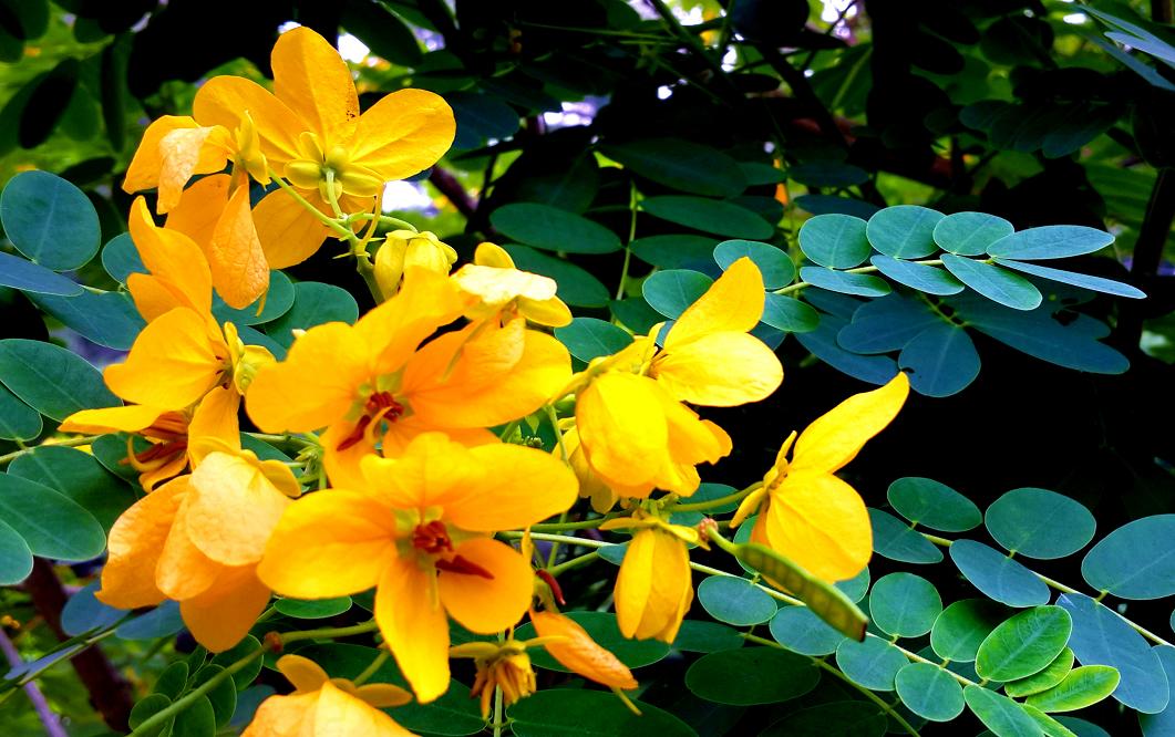 20141023_151636.jpg