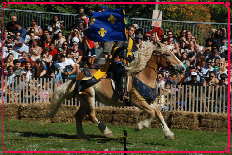 DSC_0737.jpg