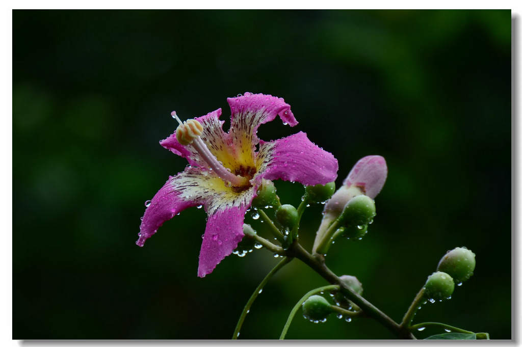 DSC_8757.jpg
