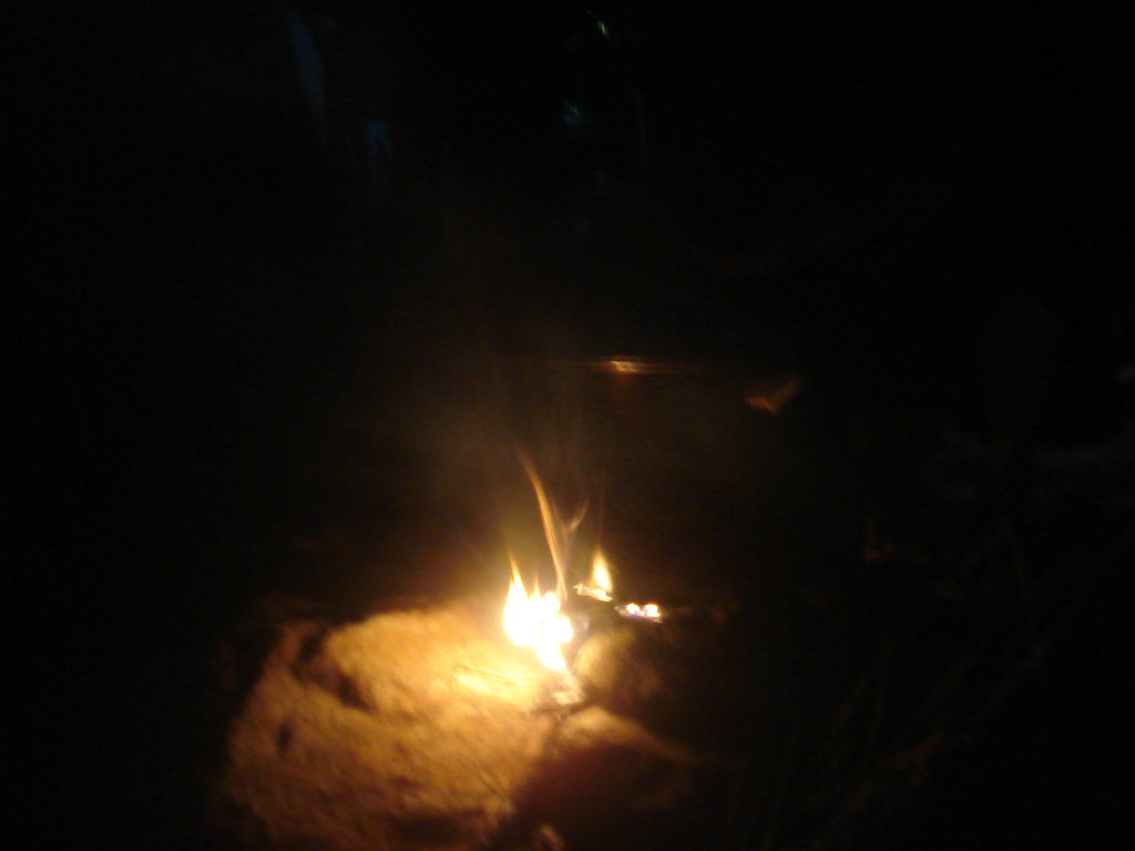 DSC00240.jpg