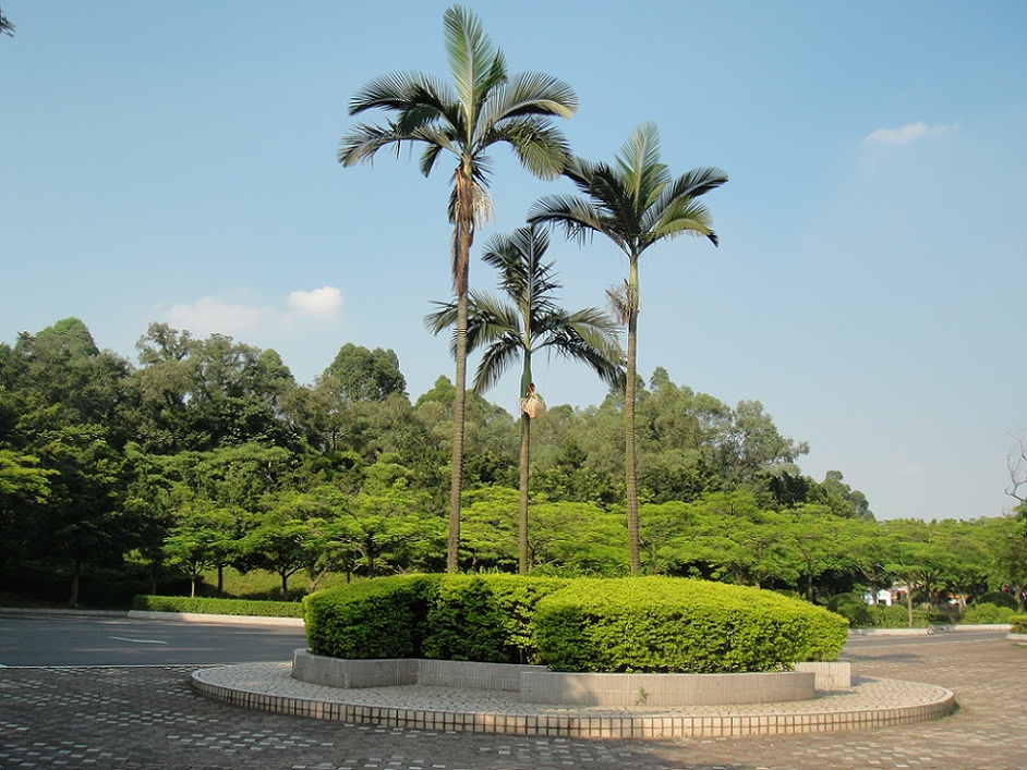 DSC08380.JPG
