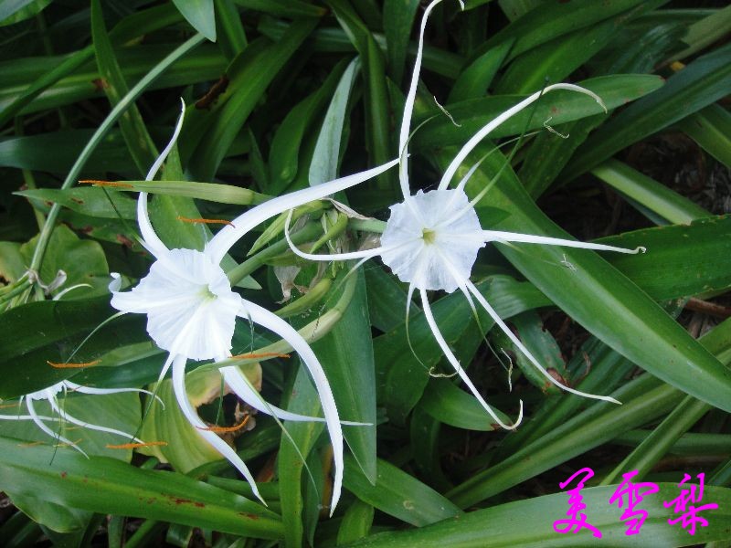 0DSC_0629_conew1.JPG