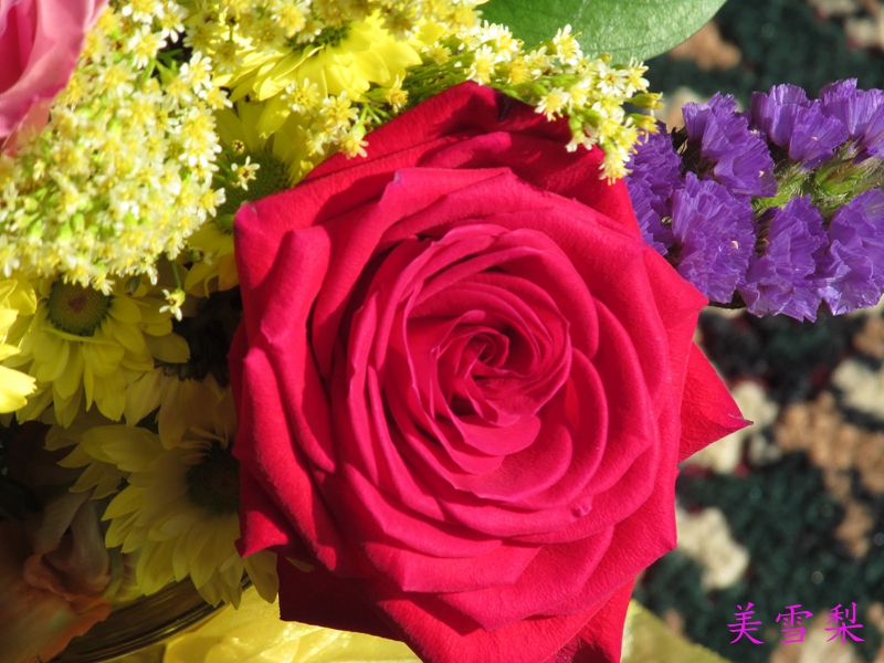 0DSC_0338.JPG