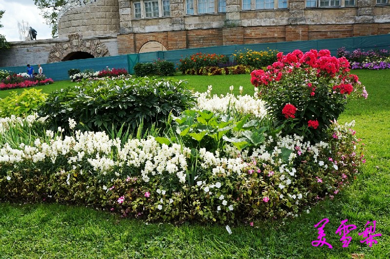 DSC_0570_conew1.jpg