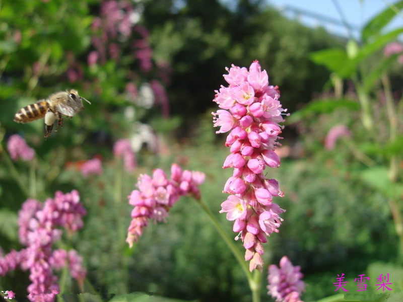 0DSC_0544.jpg