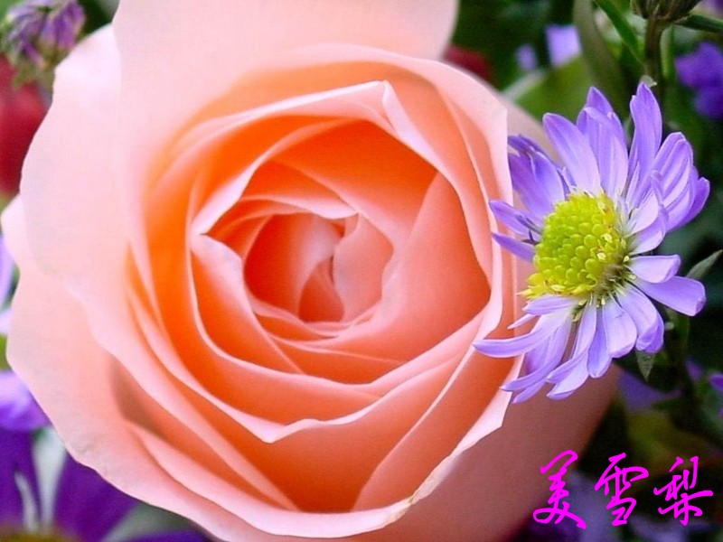0DSC_0339_conew1.jpg