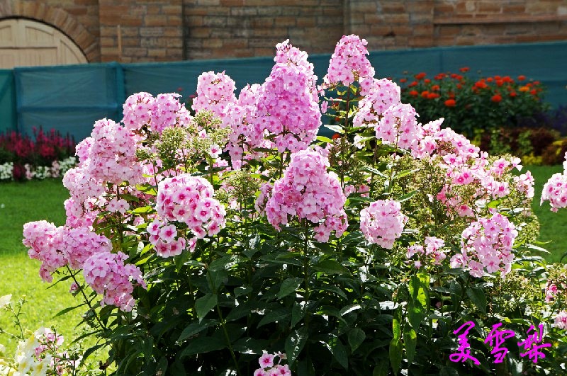DSC0574_conew1.jpg