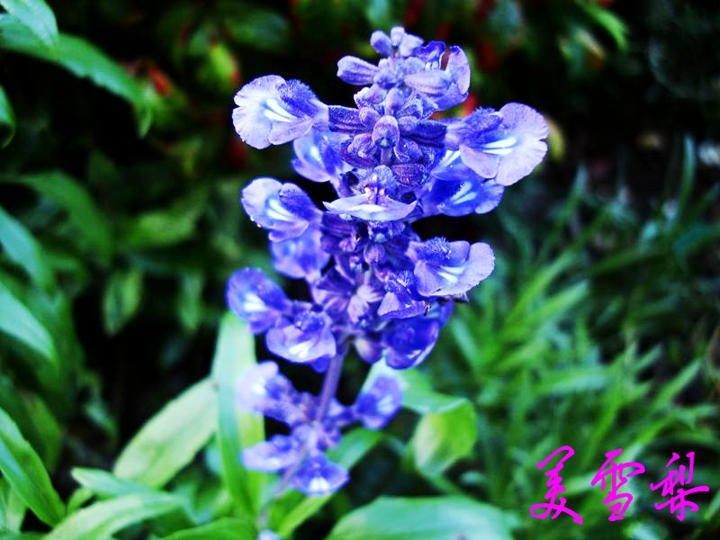 0DSC_0613_conew1.JPG