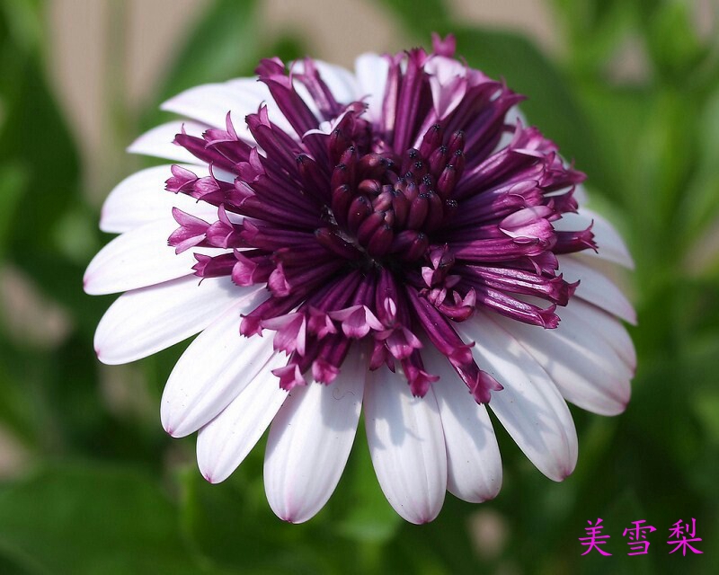0DSC_2123.jpg
