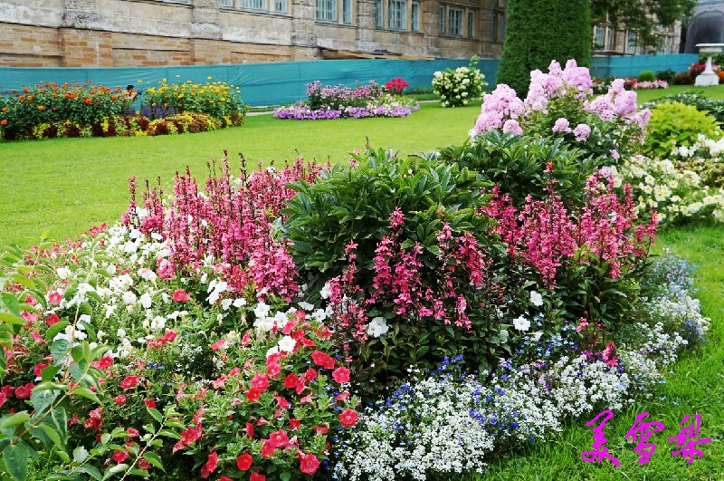 DSC0576_conew1.jpg