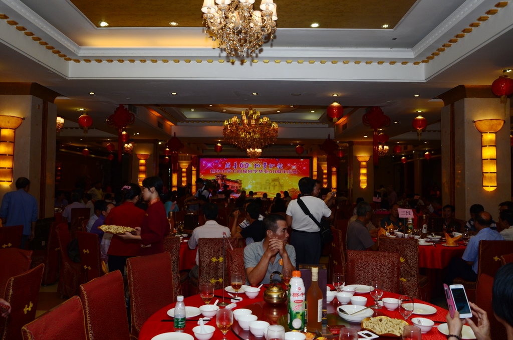 DSC_5342.jpg
