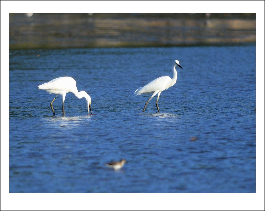 DSC_7661_conew1.jpg