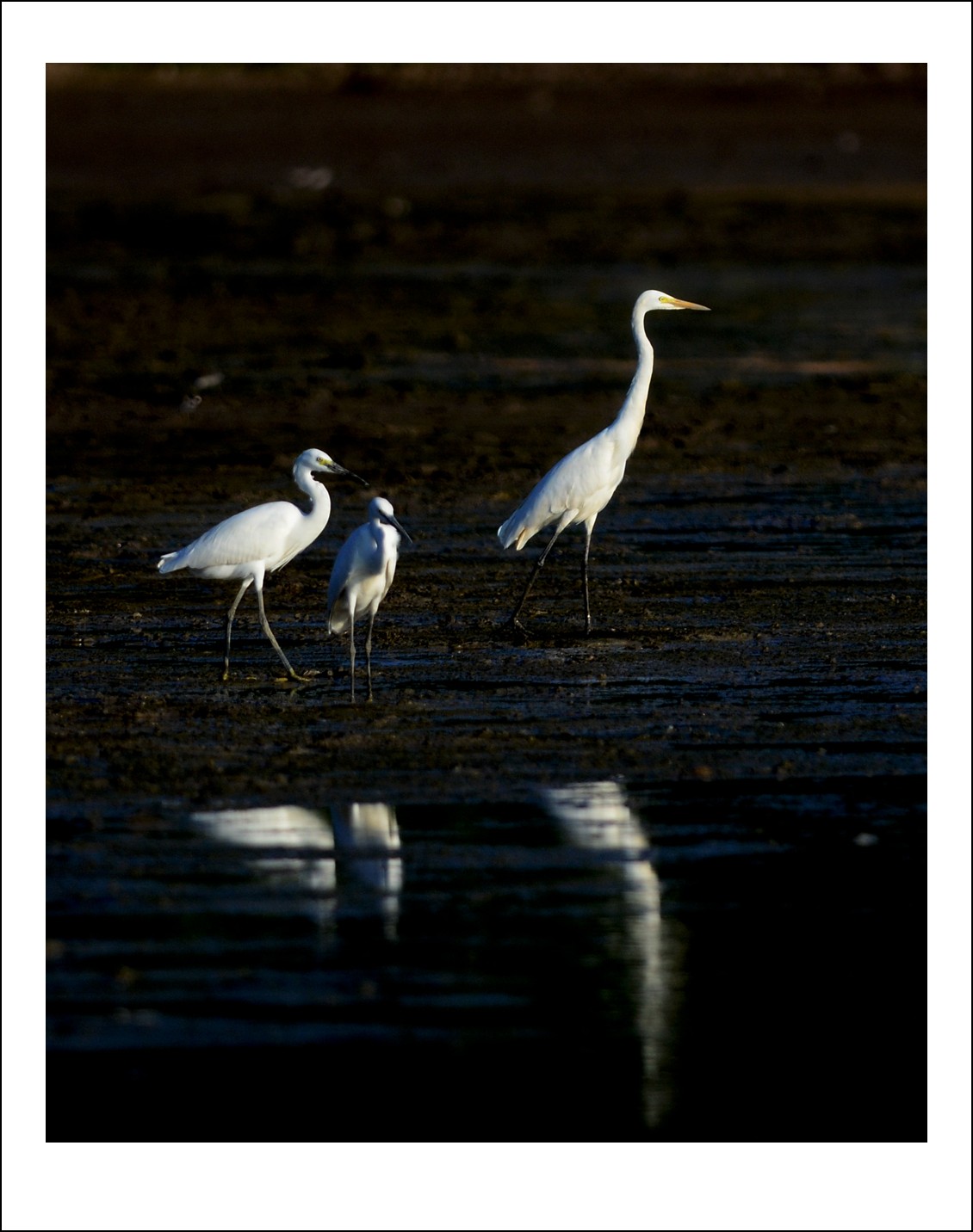 DSC_7765_conew1.jpg